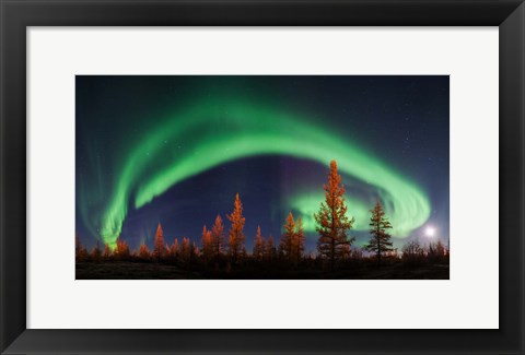 Framed Northern Lights Print