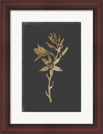 Framed Botanical Gold on Black I Print