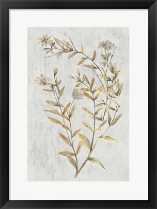 Framed Botanical Gold on White II Print