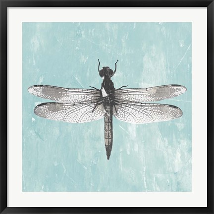 Framed Dragonfly III Print
