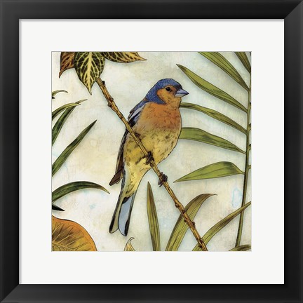 Framed Jungle Bird II Print