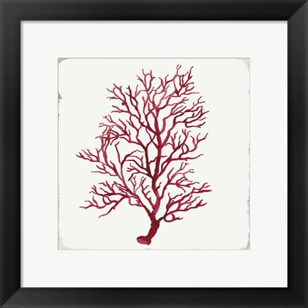 Framed Red Coral III Print