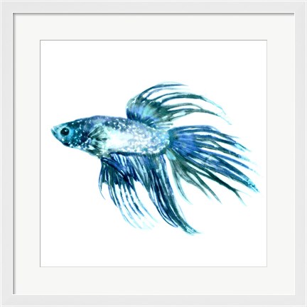 Framed Fish IV Print