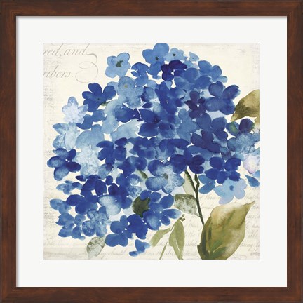 Framed Hampton Hydrangea II Print