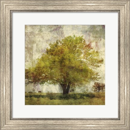 Framed Vintage Tree Print