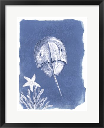 Framed Coastal Sea Life VI Print