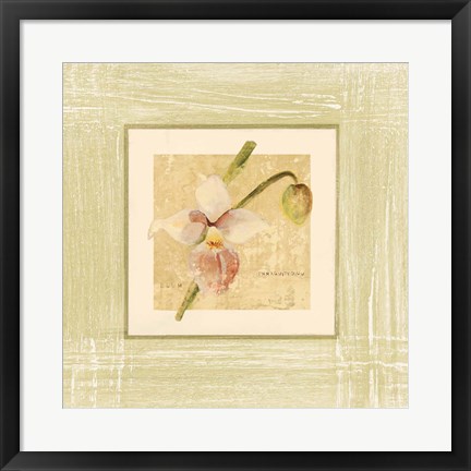 Framed Exotic Floral IV Print