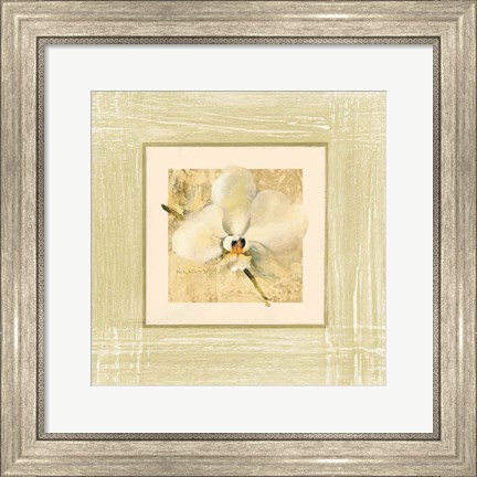 Framed Exotic Floral III Print