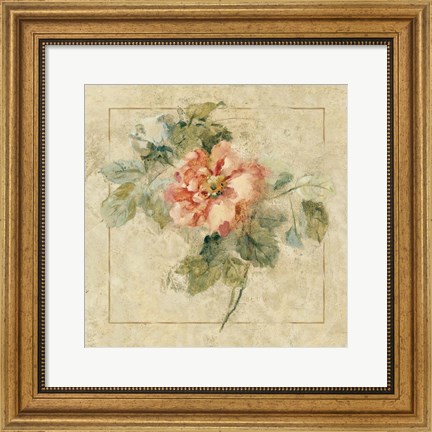 Framed Provence Rose II Print