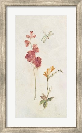 Framed Wild Wallflowers II Print