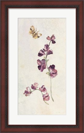 Framed Wild Wallflowers I Print