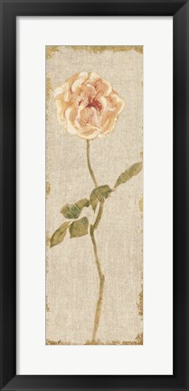 Framed Pale Rose Panel on White Vintage Print