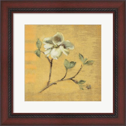 Framed Dogwood Blossom on Gold Print