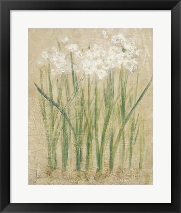 Framed Narcissus Cool Print