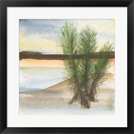 Framed Desert Yucca Print