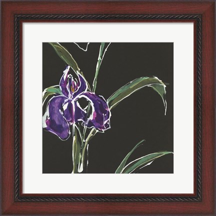 Framed Iris on Black II Print