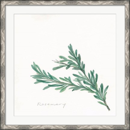 Framed Rosemary II Print