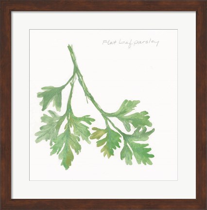 Framed Flat Leaf Parsley Print