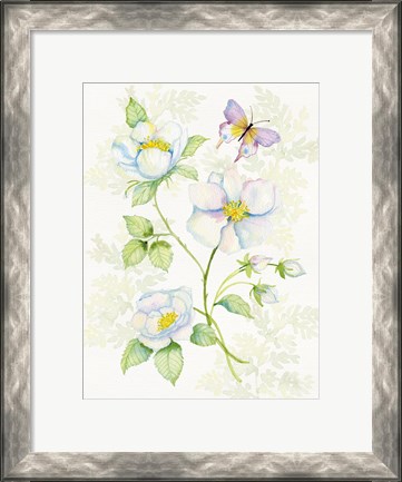 Framed Floral Delight V Butterflies Print