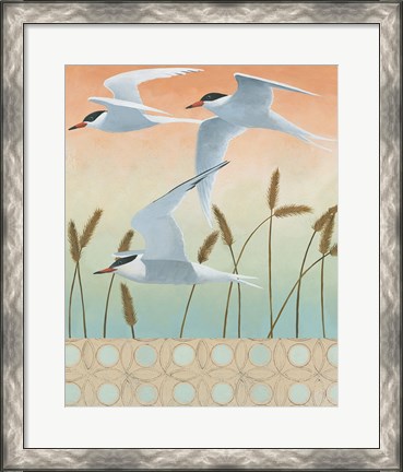 Framed Free as a Bird II v2 Border Print