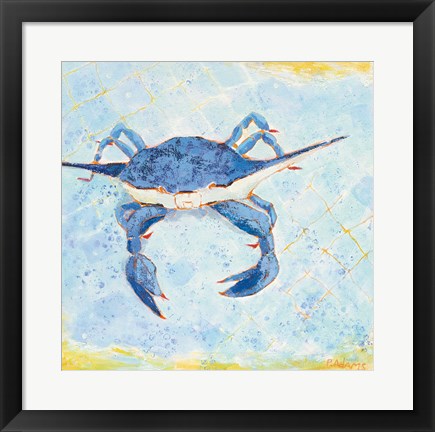 Framed Blue Crab VI Print