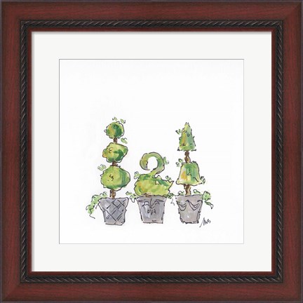 Framed Plants Print