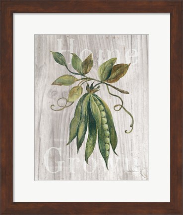 Framed Market Vegetables II on Wood Print