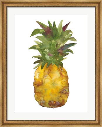 Framed Harriets Pineapple I Print