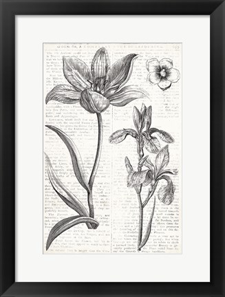 Framed Eden Spring II Print