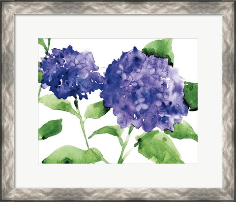 Framed Bright Hydrangeas Print