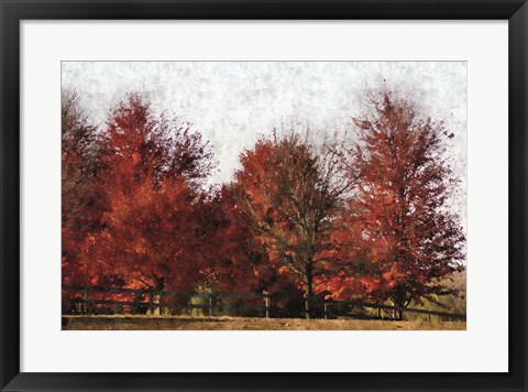Framed Fall Reds Print