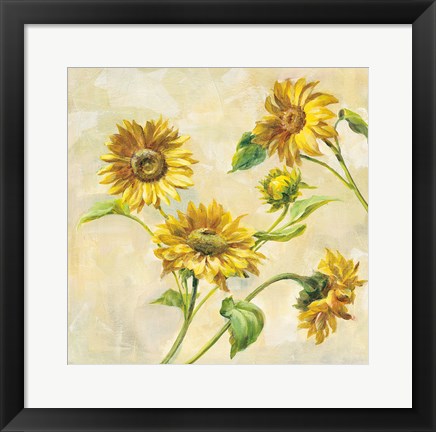 Framed Farm Nostalgia Sunflowers Print