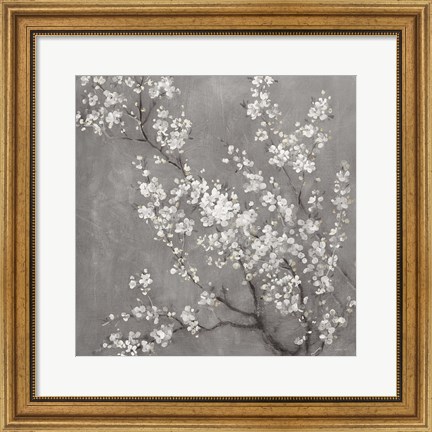 Framed White Cherry Blossoms II on Grey Crop Print
