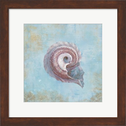 Framed Treasures from the Sea III Watercolor Print