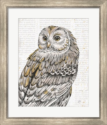 Framed Beautiful Owls III Print
