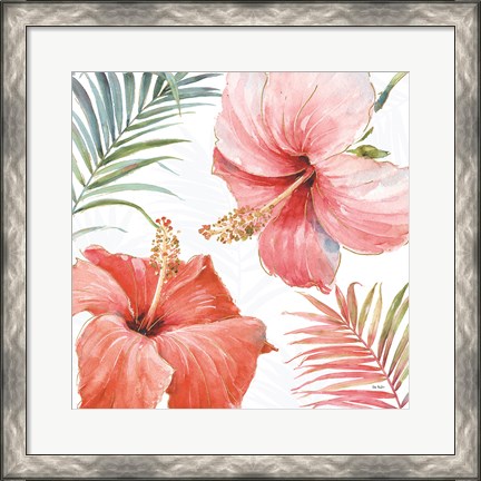 Framed Tropical Blush III Print