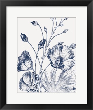 Framed Botanical Beauty Chalk IX Blue on White Crop Print