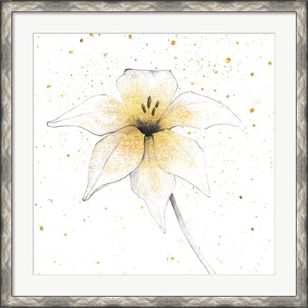 Framed Gilded Graphite Floral V Print