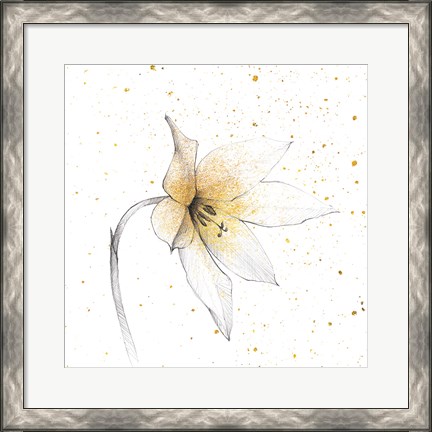 Framed Gilded Graphite Floral VIII Print