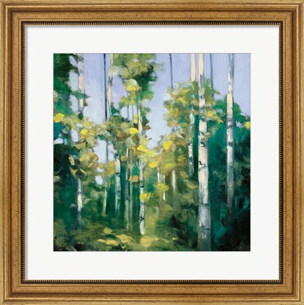 Framed Birches Print