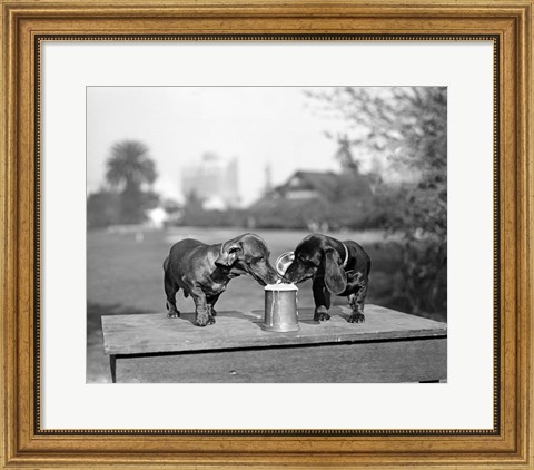Framed 1890S Two Dachshund Puppies Print
