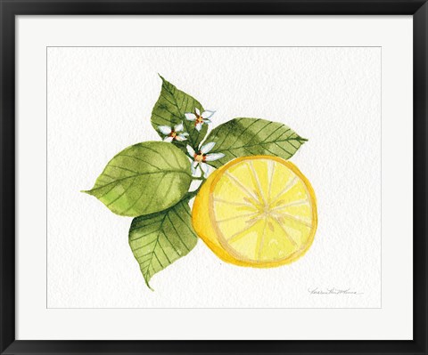 Framed Citrus Garden IX Print