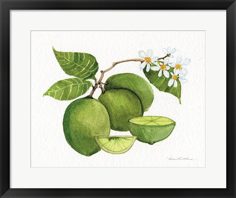 Framed Citrus Garden IV Print