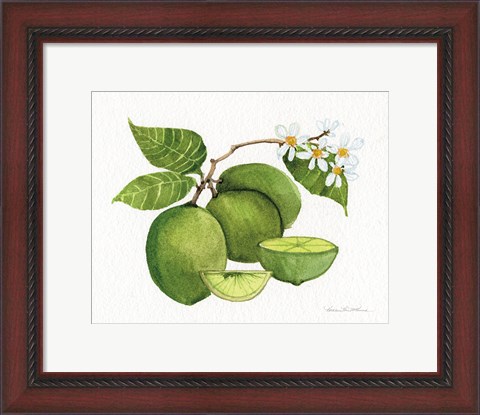Framed Citrus Garden IV Print