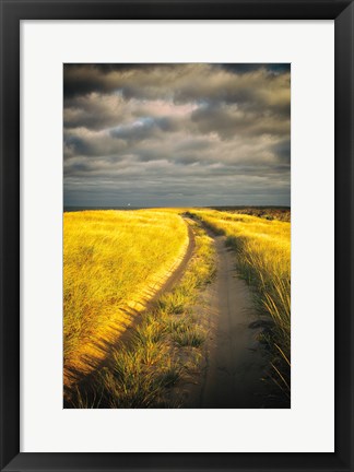 Framed Down the Road Print