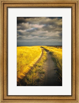 Framed Down the Road Print