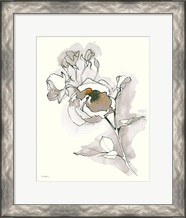 Framed Carols Roses IV Tan Print