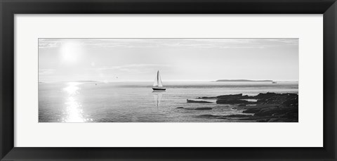 Framed Evening Sail Black and White Crop Print