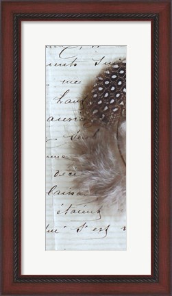 Framed Plume Feathers V Crop II Print
