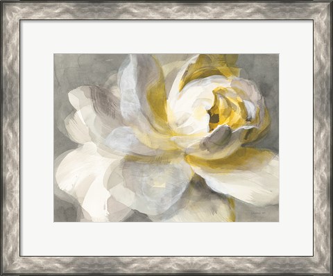 Framed Abstract Rose Print
